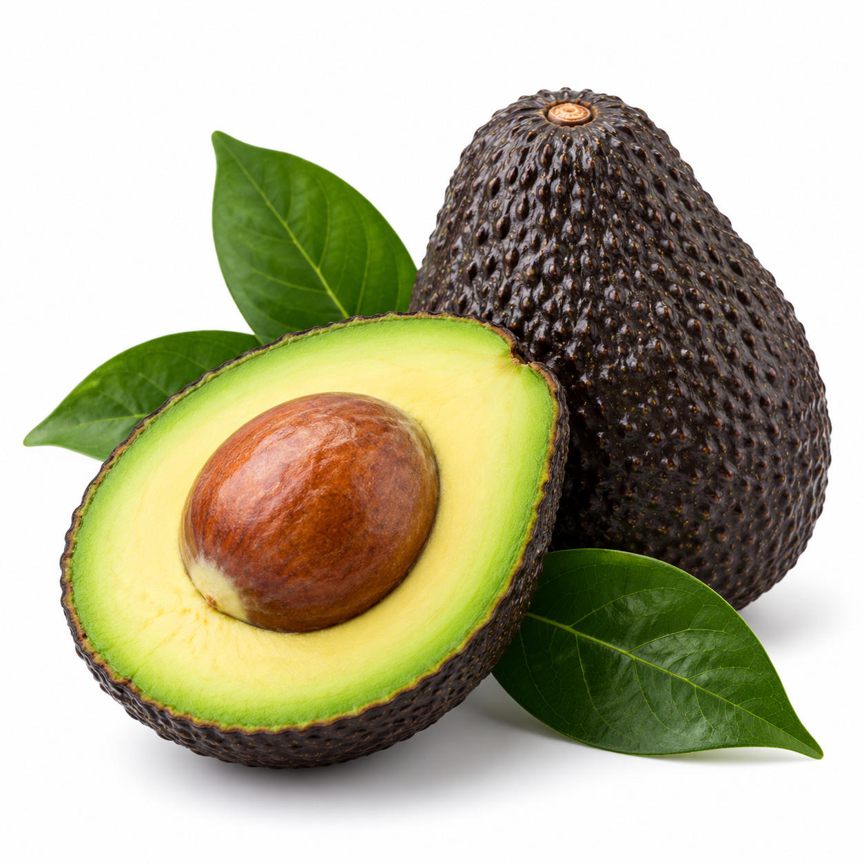PALTA PERUANA HASS