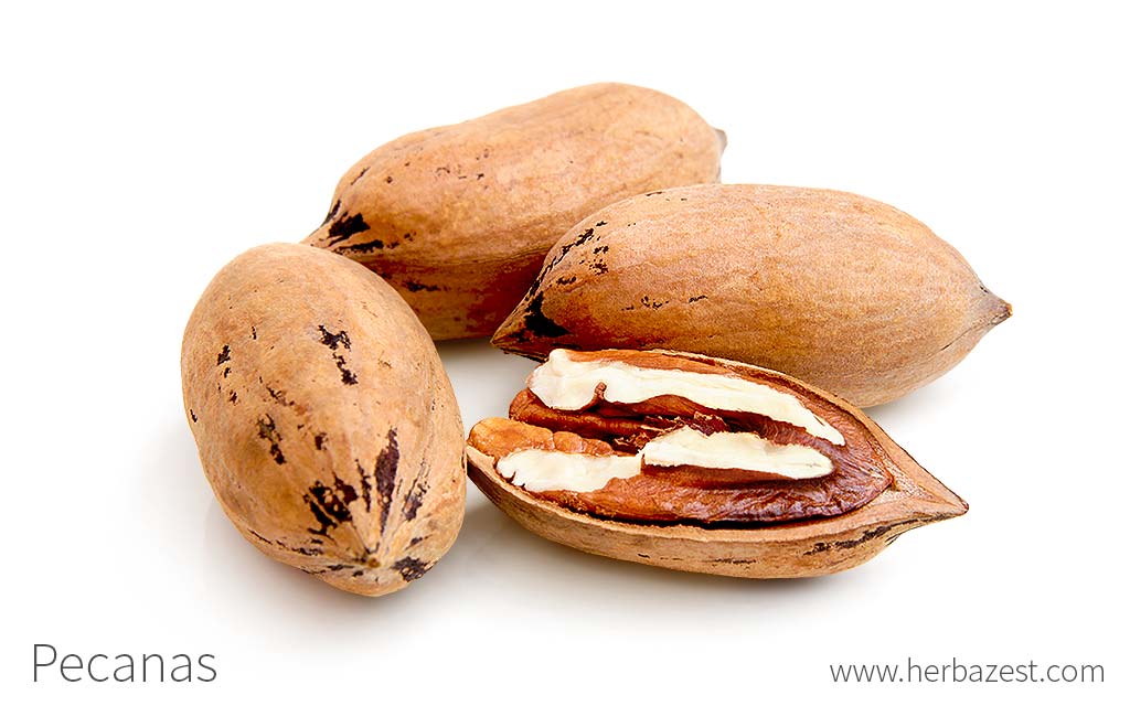 PECANAS PELADAS